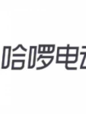 哈啰电动车
